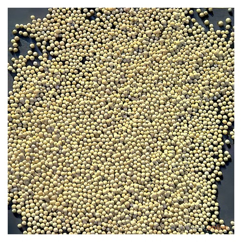 Reusable premium grade - reusable,